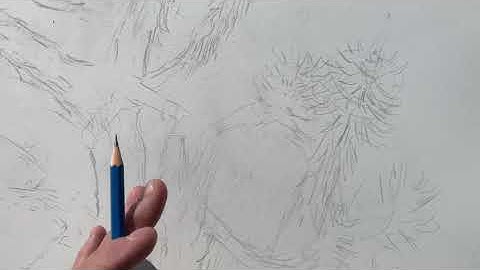 CONTOUR LINE STUDY - TREE