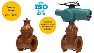 American AVK Series 65 Gate Valve Learning Module Video