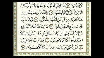 ماهر المعيقلي سورة الزمر