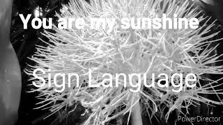You Are My Sunshine- John G. Cordero