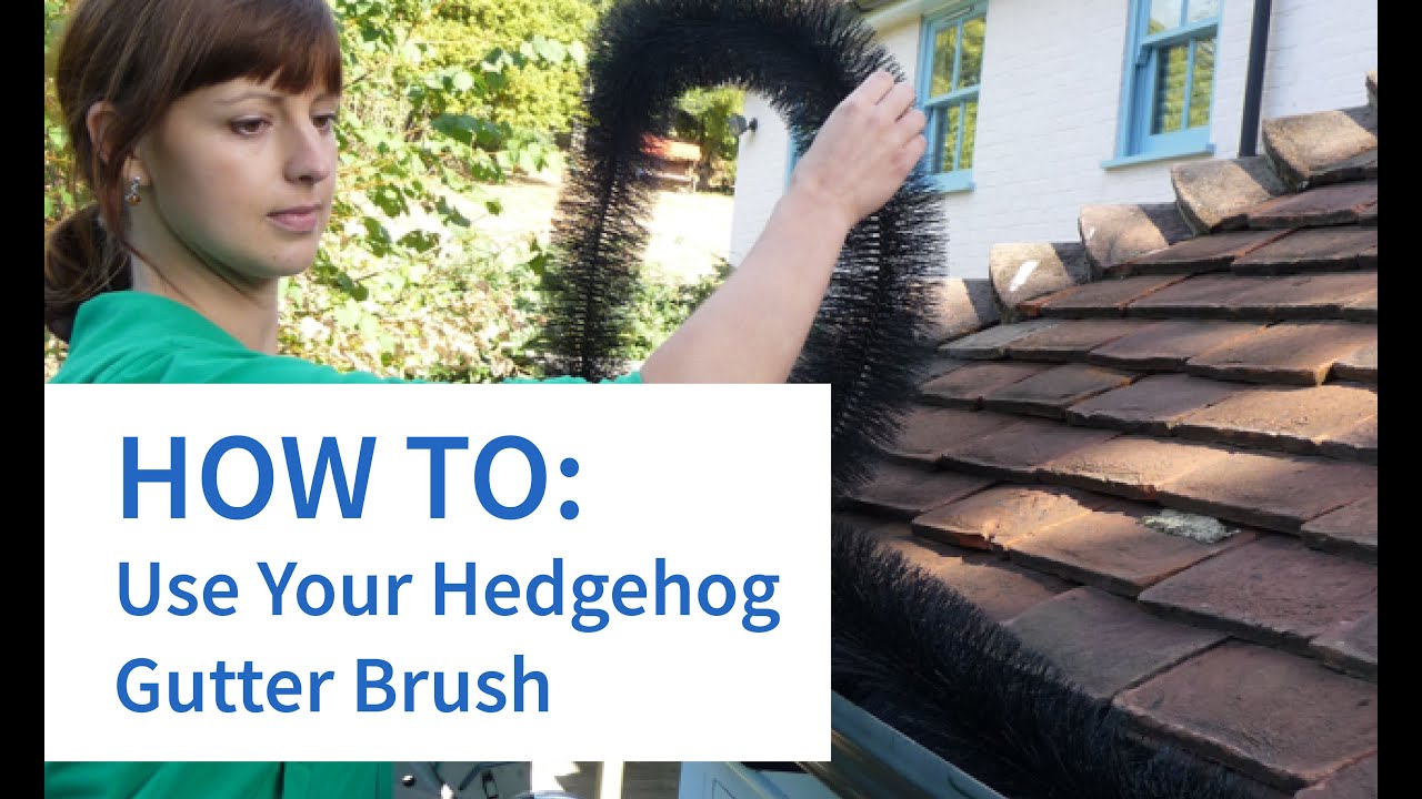 Hedgehog Gutter Brush YouTube
