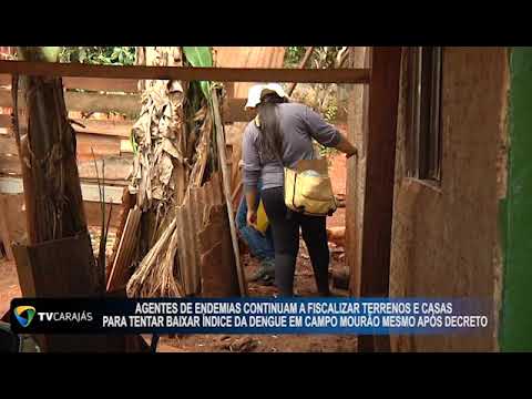 Agentes de endemias continuam a fiscalizar terrenos e casas para tentar abaixar o índice da Dengue