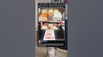 Trust No Square Object or Elf