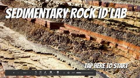 Earth Science: Sedimentary Rocks ID Lab Instructions