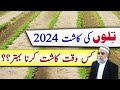 Best sowing time of sesame during 2024  crop reformer