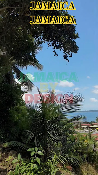 Jamaica #reggaemusic #reggae #vacation #jamaica