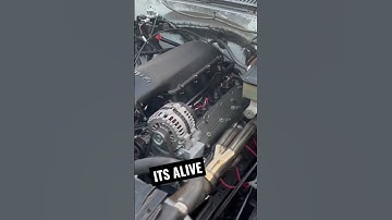 81 C10 5.3 turbo terminator X max