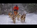 Dogsledding in a Snow Storm - A Winter Camping Adventure