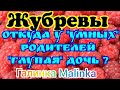 Жубревы /Откуда у "умных" родителей "глупая" дочь? //Обзор Влогов //