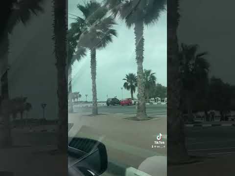 خليني في حضنك يا حبيبي ده في حضنك بهدا وبرتاحأنا كل مشاعري معك راحواوكمان قلبي دبي الممزر  4 4