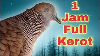 Full KEROT PERKUTUT Bikin Birahi!