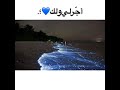غريبة الديار 12 غريبة الديار 12