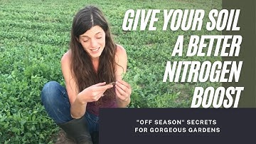 Field Notes: Nitrogen Fixing Cover Crops