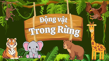 Dạy Bé Về Các Loại Động Vật Trong Rừng | Nhận biết tiếng kêu các con vật | TH MEDIA