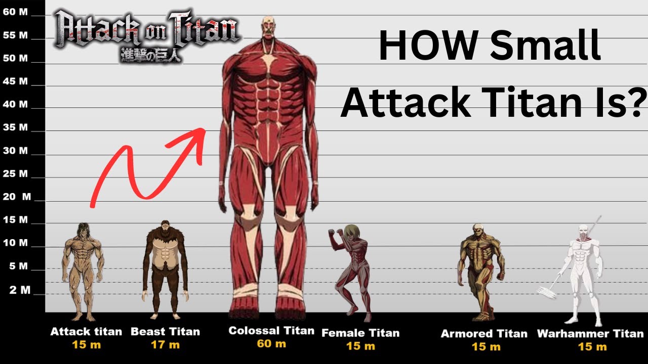 All Titan Height Comparison With Attack Titan Collosal Titan Included 