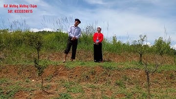 Hát Tiếng Mường  | Các Nghệ Nhân CLB Hát Mường Mường Chậm Xã Vân Sơn Hát Trên Đồi Rất Hay