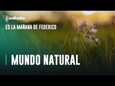 Mundo Natural: Prevenidos