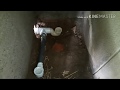 plumber fitting  toilet