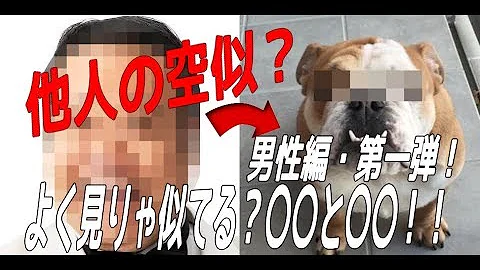 他人の空似 Mp3 他人の空似 Mp3