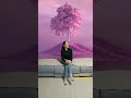 어디서나#세멘잘라이트#파이토신#조아인친#비대면#코칭#이실장