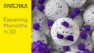 Monolithic Chromatography Explained in 3D