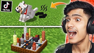 Trying Viral Minecraft Tiktok Build Hacks Part 1