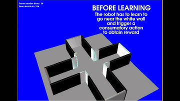 Bio-inspired reinforcement learning