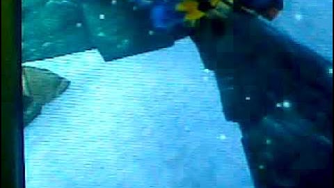 jak and daxter snowy mountain (flut flut) glitch