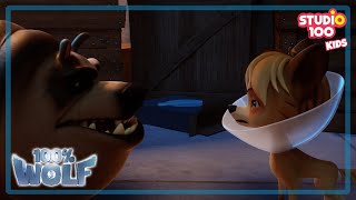 Wuffles wants to go to the wolf party | 100% Wolf - Studio100 KIDS - KIDS cartoons☺️😁