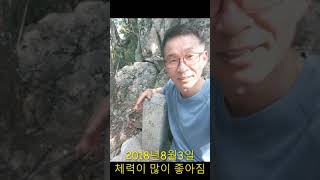 대장암 4기 완치 기록