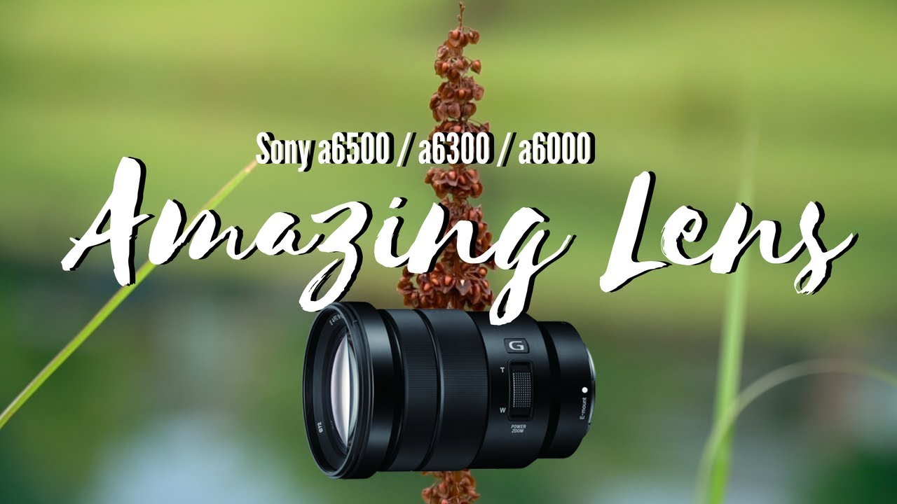 Sony 18-105mm F4 - The Best Lens For Video? // Sample