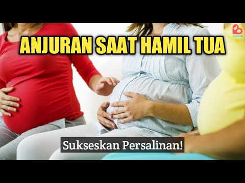 Video: Perkembangan Prenatal: Pandangan Tiga Trimester