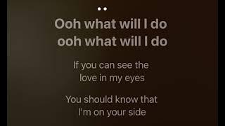 What will I do karaoke mmoBb female original key( original by Cagnet )with English lyrics