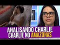 Análise do Vídeo:  O Surto do Charlie Charlie Challenge no Amazonas