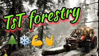 🌲#waldarbeit 🌲 #forstarbeit 🌲und mit dem 🌨  kommt auch wieder ❄️#winterdienst ❄️😉