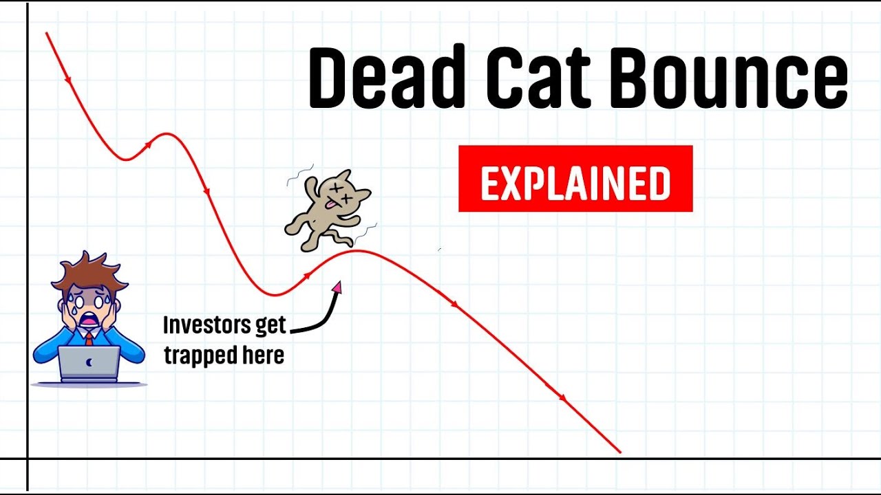 What Is Dead Cat Bounce Explained YouTube what-is-dead-cat-bounce-explained-youtube
