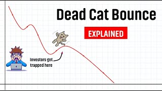 What is Dead Cat Bounce? 🐱 [Explained]