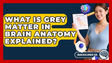 What Is Grey Matter In Brain Anatomy Explained? - Brain Development Hub