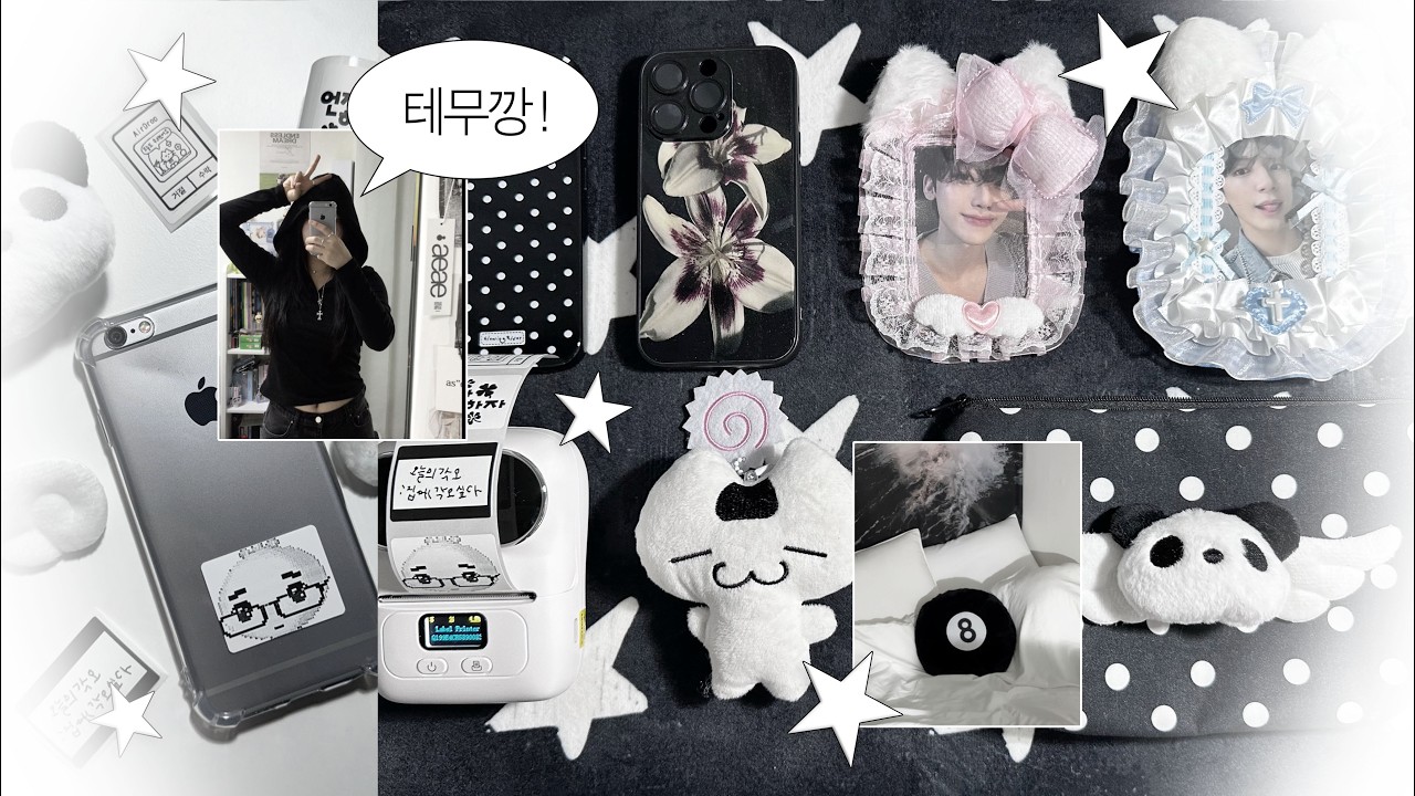 [시즈니 브이로그] 20만원 테무깡 낋여왔습니다! (*•؎ •)ﾍﾟ(무려 36가지..) | 테무깡 | 덕질템 • 포카홀더 • 라벨프린터 | 덕질 브이로그 | 애옹로그 =^._.^=