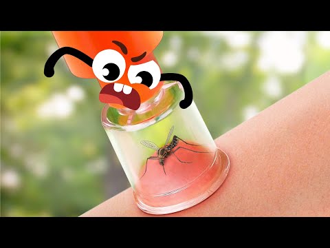 الشيخ عبد الرحمن السديس سورة البقرة رقية شرعية لحفظ وتحصين المنزل و البركة تلاوة رائعة  