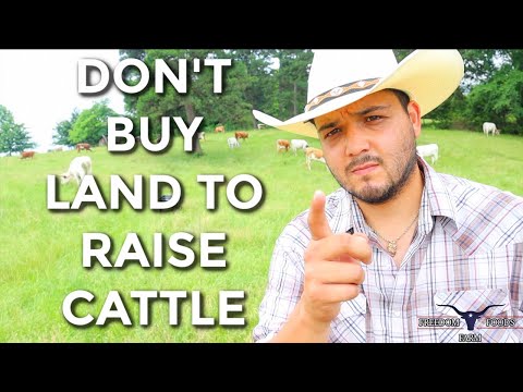 Why You SHOULDN&rsquo;T Buy Land To Raise Cattle