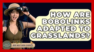 How Are Bobolinks Adapted To Grasslands? - Bird Watching Diaries
