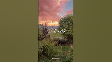 القارئ اسلام صبحي #آيات #حالات_واتس #اكسبلور #اكسبلورهاشتاقات #لايك #حالات #تيك_توك #راحة_نفسية