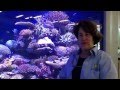 view Saving Coral: The Large Reef Tank digital asset number 1