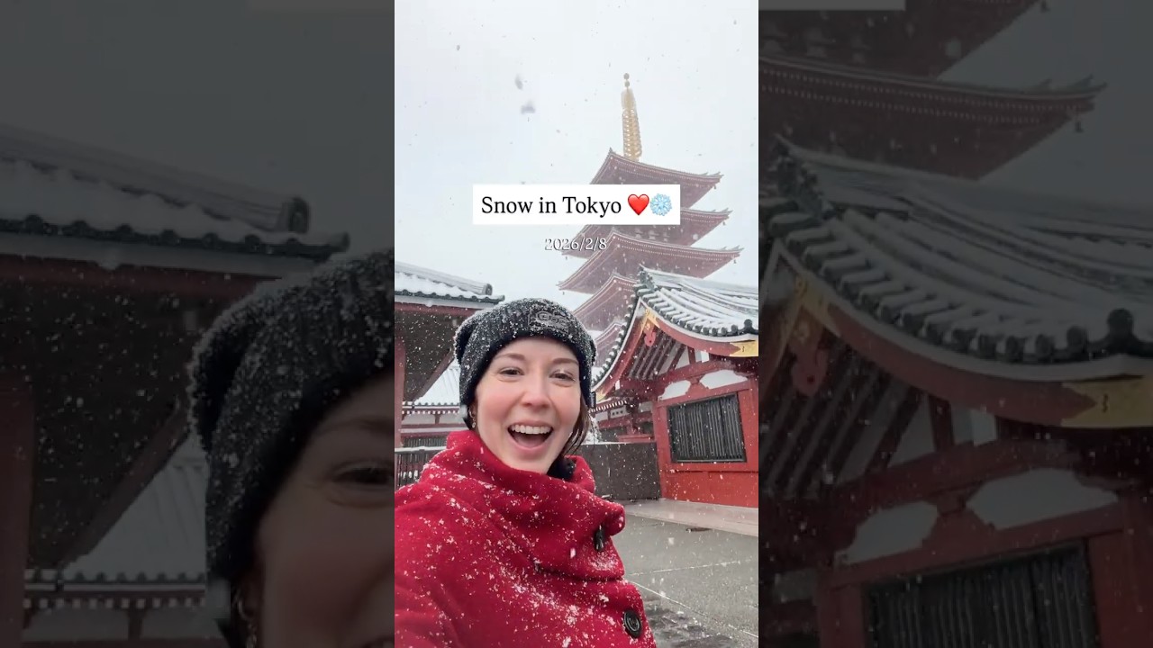 The Most Snow I've Ever Seen In Tokyo!