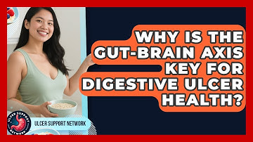 Why Is The Gut-brain Axis Key For Digestive Ulcer Health? - Ulcer Support Network