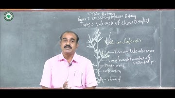 T.Y.B.Sc.(Botany) || Topic: Lifecycle of chara || By Prof. Mate H.T.
