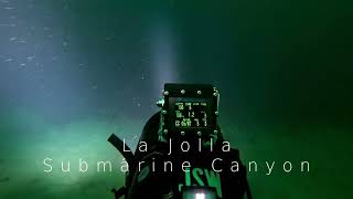 LaJolla Submarine Canyon