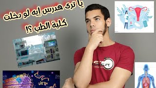 نظام الدراسة في كلية الطب _ جامعة الإسكندرية 🧑🏻‍⚕️