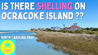 Shelling on Ocracoke Island? Is it good or notsogood? | Outer Banks Excursion!